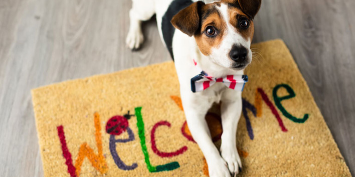 image of a dog sitting on a 'welcome' floor mat representing our house call pet service